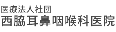 西脇耳鼻咽喉科医院 長岡市蓮潟 アレルギー科